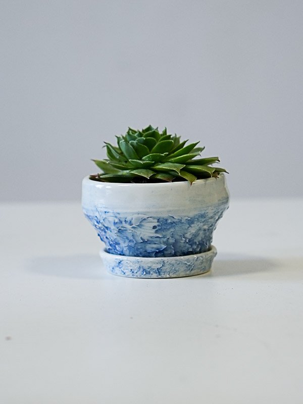 Petit pot avec plante grasse 2026 (porcelaine) 28.-