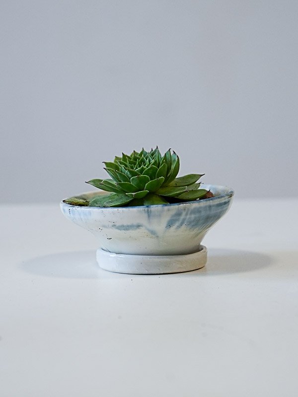 Petit pot avec plante grasse 2026 (porcelaine) 28.-