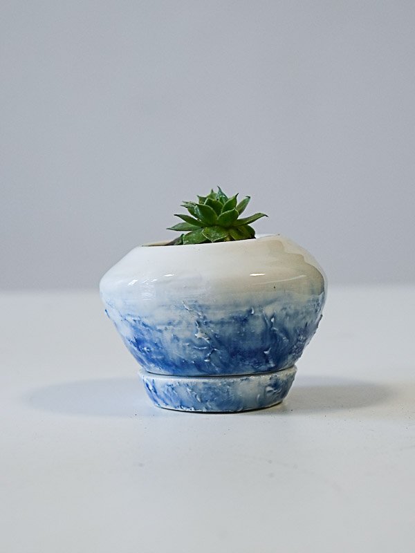 Petit pot avec plante grasse 2026 (porcelaine) 28.-