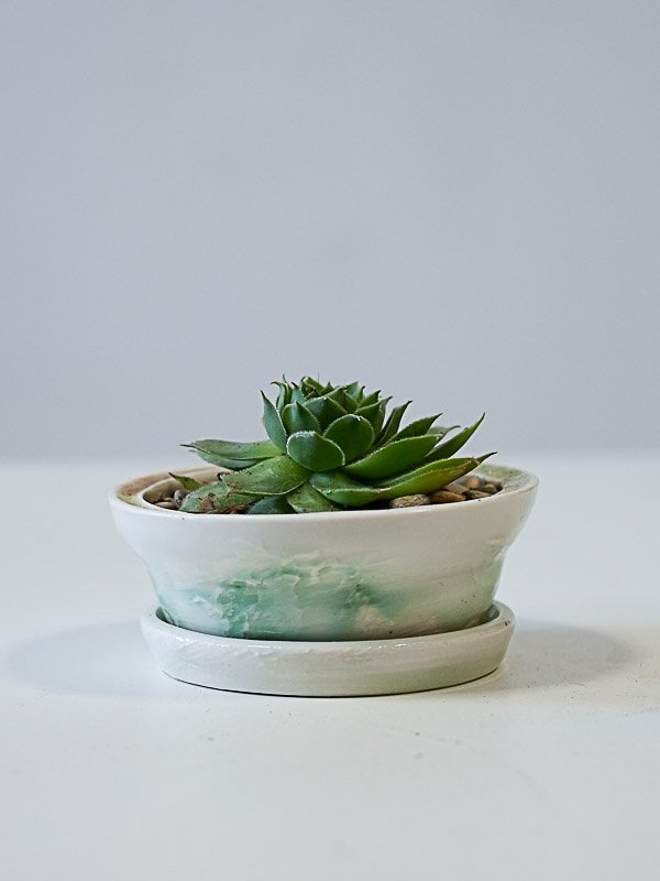 Petit pot avec plante grasse 2026 (porcelaine) 28.-